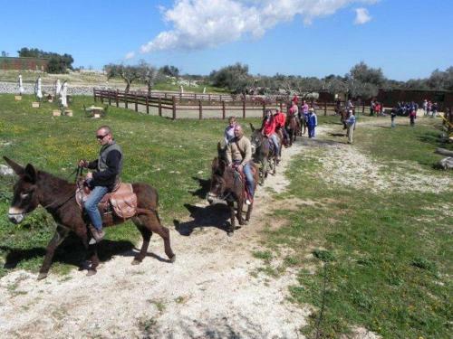 Agroturismo Agriturismo Agrimilo