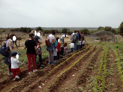 Agroturismo Agriturismo Agrimilo