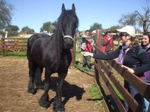 Agroturismo Agriturismo Agrimilo