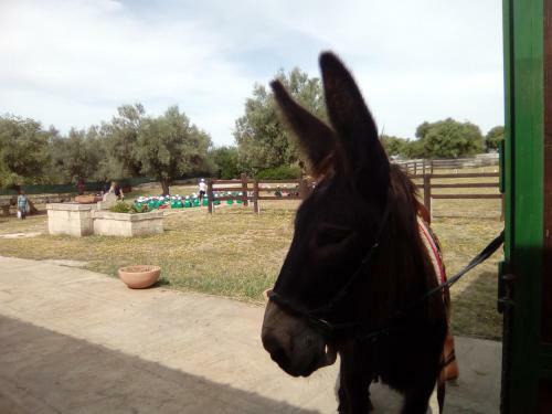 Agroturismo Agriturismo Agrimilo