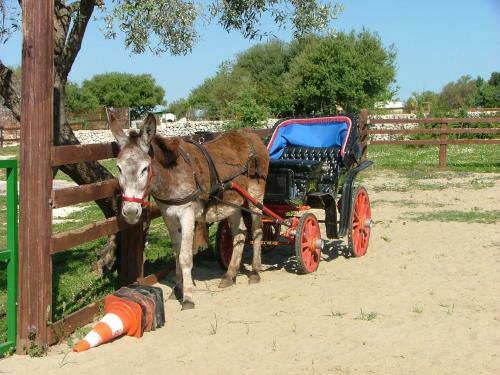 Agroturismo Agriturismo Agrimilo