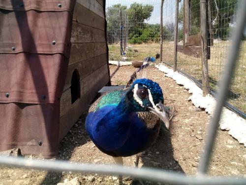 Agroturismo Agriturismo Agrimilo