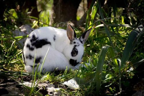 Agroturismo Agriturismo Agrimilo