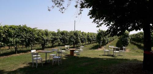 Agroturismo Agriturismo Vitae