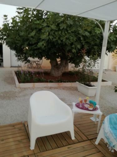 Hostal Tenuta Il Fico