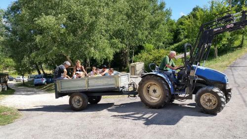 Agroturismo Borgo Cerquelle