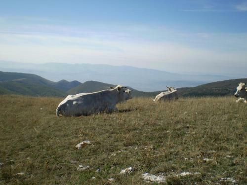 Agroturismo Borgo La Torre