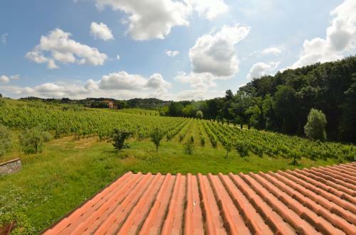 Il Sogno Tra I Vigneti