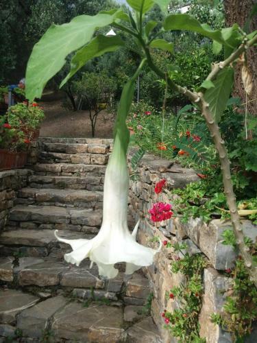 Agroturismo La Casa Del Maestro