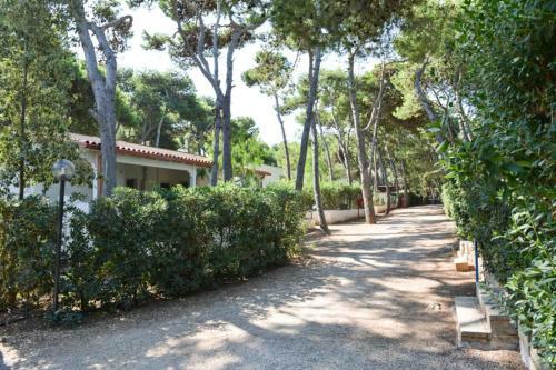 Camping Villaggio Pineta Al Mare