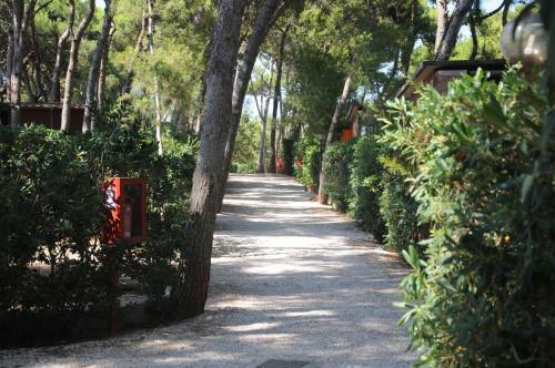 Camping Villaggio Pineta Al Mare