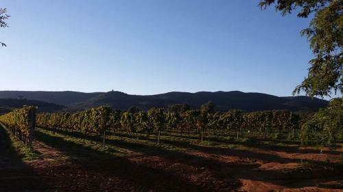 Agroturismo Agriturismo Fusini
