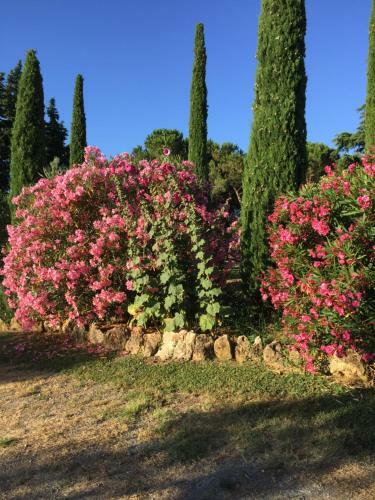 Agroturismo Soiano Famiglia Rolfini
