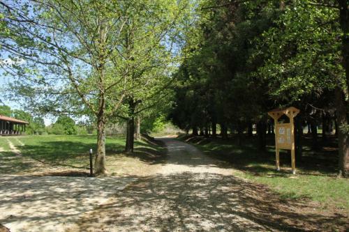 Bed & Breakfast Tenuta Adriana