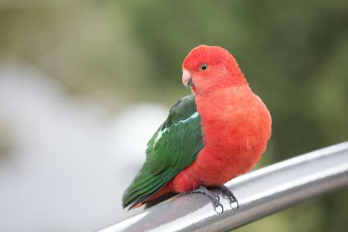 Hotel Grand Mercure Pinnacle Valley