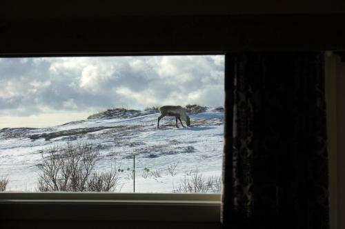 Hotel Vads� Fjordhotell