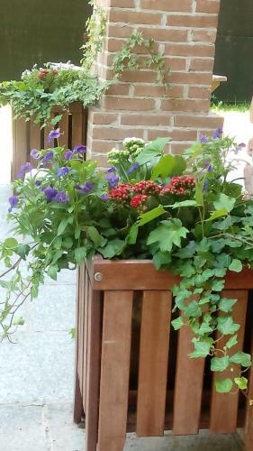 Albergue La Foresteria Dell'oasi