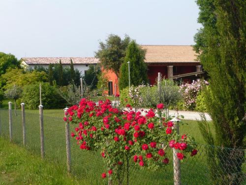 Agroturismo Borgo D'asolo