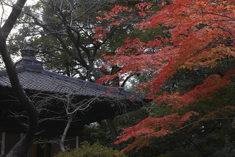 Grand Prince Hotel Takanawa Hanakohro