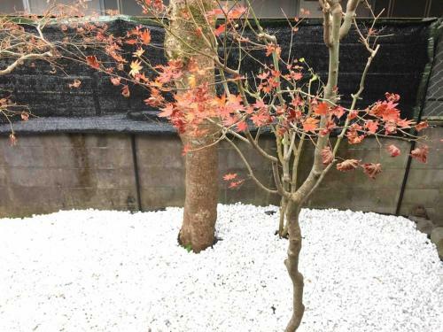 Apartamento Green House 1-mt.fuji Gotemba-