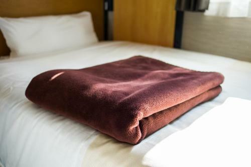 Super Hotel Minami Hikone Ekimae