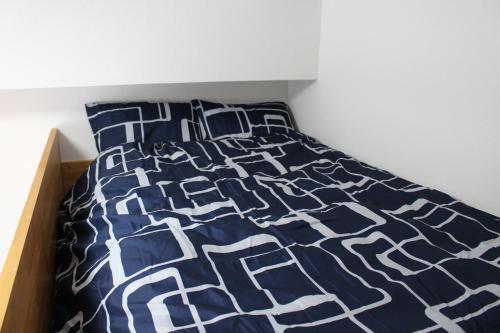 Fuji Inn 400 Apartment,motomachi A