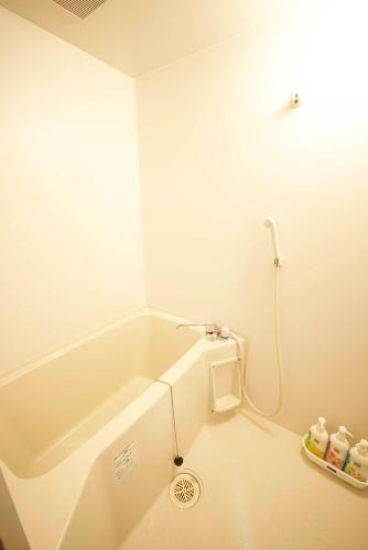Fuji Inn 400 Apartment,motomachi A