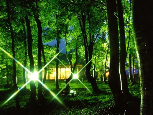Chokai Sarukuraonsen Hotel Foresta Chokai