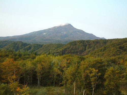 Chokai Sarukuraonsen Hotel Foresta Chokai