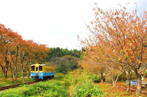 Chokai Sarukuraonsen Hotel Foresta Chokai