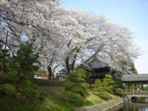 Hotel Wakasa