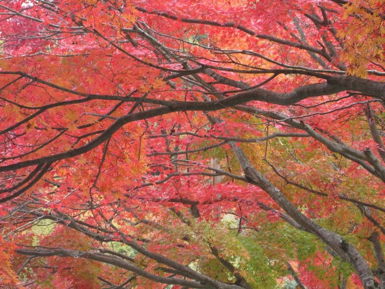 Shodoshima Seaside Hotel Matsukaze