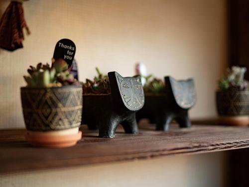 Hostal Bali & Cat Guest House