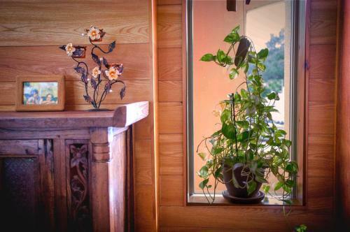 Hostal Guest House Amakara Okinawa
