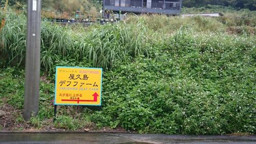 Hostal Yakushima Deaf Farm