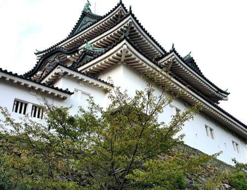 Hostal Tsukiji Hostel Wakayama 2