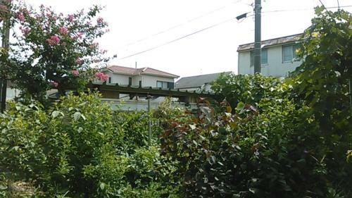 Hostal Higashi Matsudo Home, Narita Ap Direct
