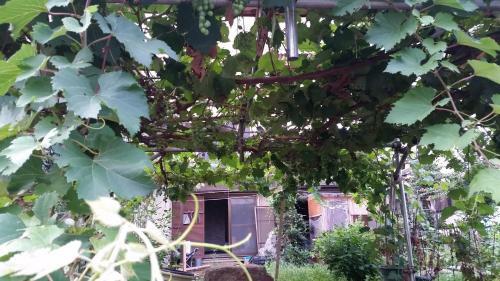 Hostal Higashi Matsudo Home, Narita Ap Direct