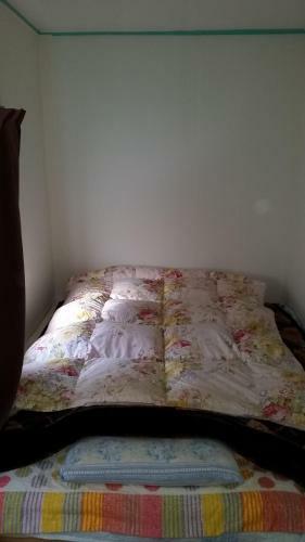 Hostal Higashi Matsudo Home, Narita Ap Direct