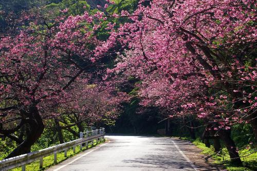 Agroturismo Inoha No Kaze