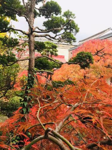 Bed & Breakfast Otarunishikien
