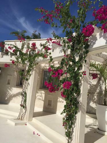 The Villa Luxury Suites Hotel
