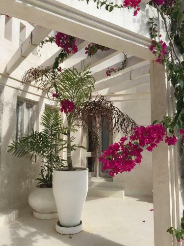 The Villa Luxury Suites Hotel