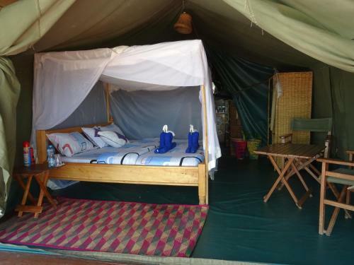 Crocodile Camp-masai Mara