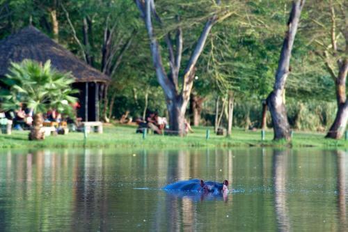 Voyager Ziwani Tented Camp