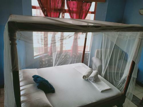 Qw�tu Homestay