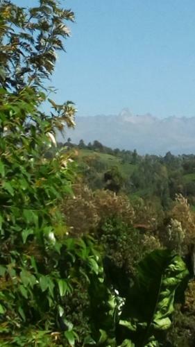 Posada Mt Kenya Riverside Retreat
