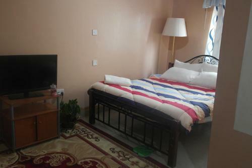 Hostal Palm Nest - Near Jkia