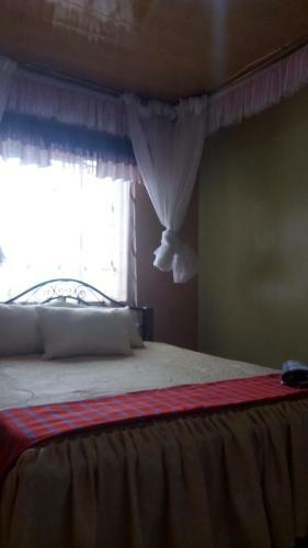Hostal Palm Nest - Near Jkia