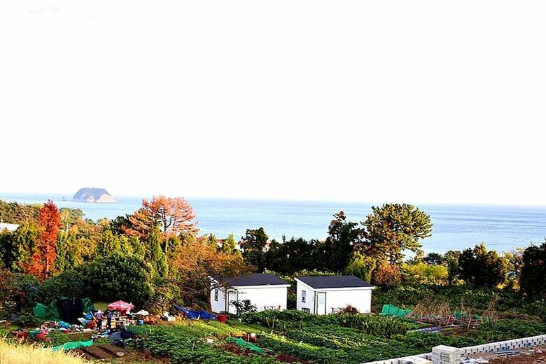 Jeju Inhouse Pension